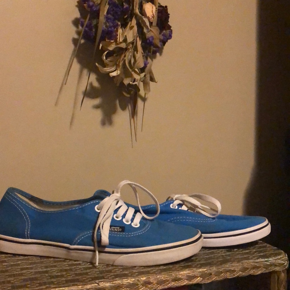 Vans Blue Lo Pro